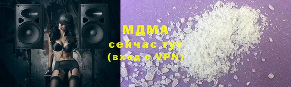 индика Алексин