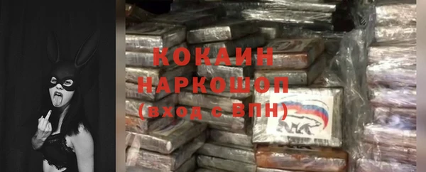 индика Алексин