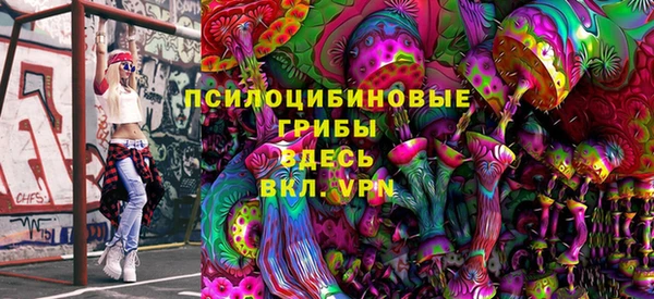 индика Алексин
