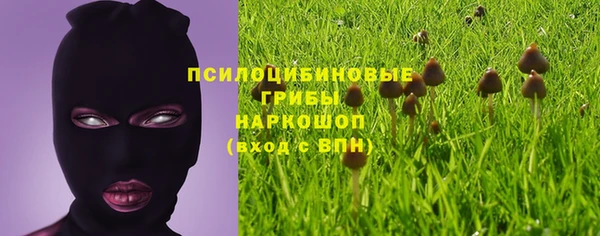 индика Алексин